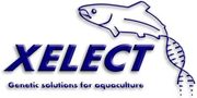 Xelect Ltd.