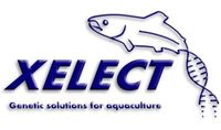 Xelect Ltd.