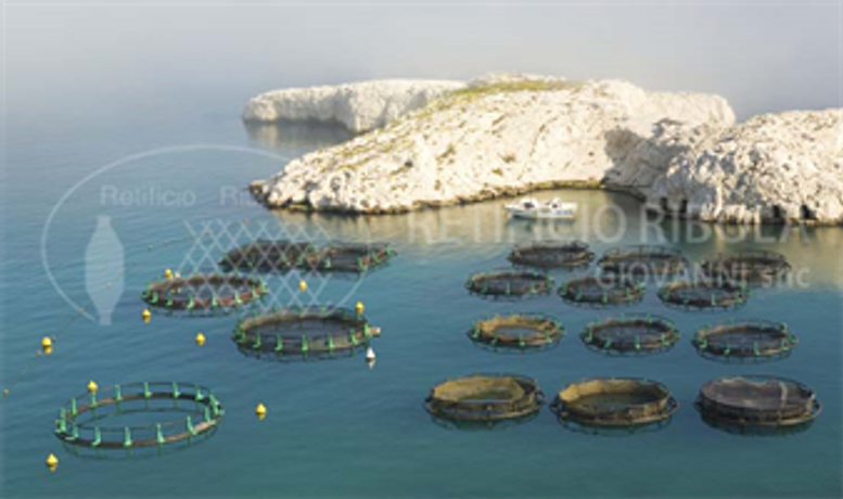 Ribola - Aquaculture Cages