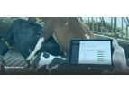 Nedap - Outstanding Dairy Cow Heat Detection Software