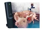 Nedap ProSense - Strategic Feeding System with Wireless Activator for Lactating Sows