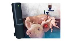 Nedap ProSense - Strategic Feeding System with Wireless Activator for Lactating Sows