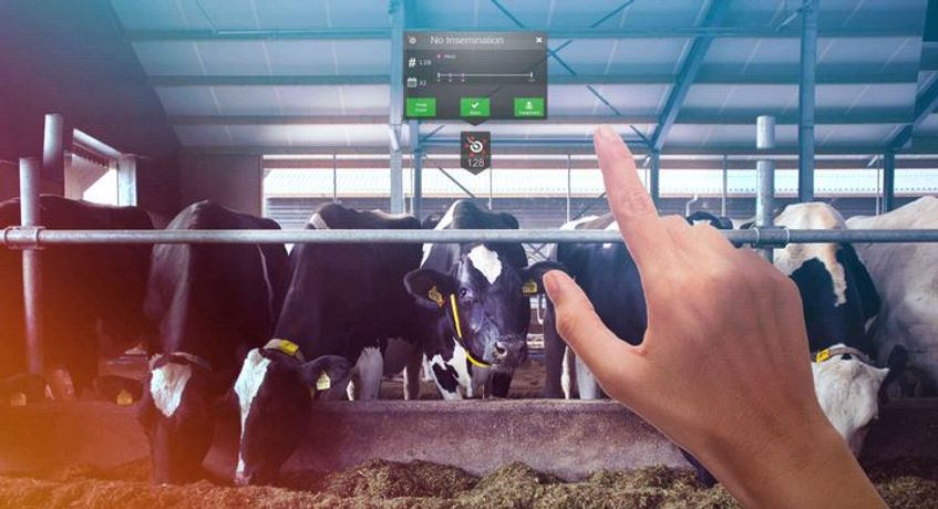 Nedap - Augmented Reality Dairy Farm Technology
