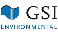 GSI Environmental Inc.