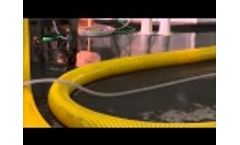 51 Pumping of 400gr fish to vacination table Video