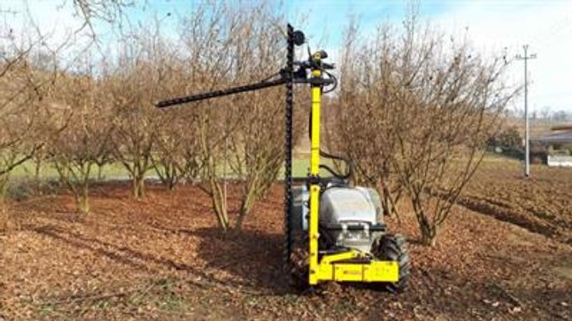 Tecnovict - Model 106 F - Pruner Machine for Orchards