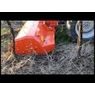 Puma - Video