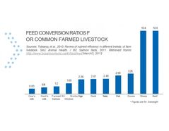 Why in animal production feed efficiency is so important?