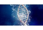 Environmental DNA (eDNA) Testing