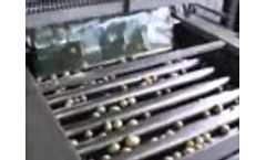 Roller sizer (potatoes) Video
