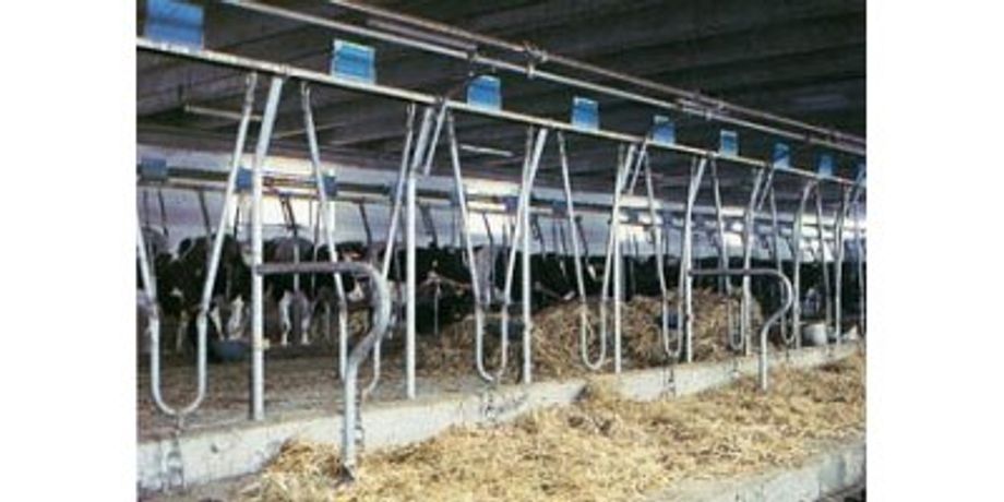 Olanda & America - Livestock Short Stalls