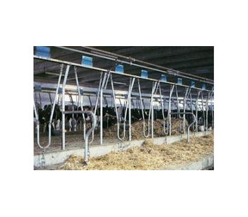 Olanda & America - Livestock Short Stalls