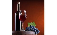 Solutions for the winemaking industry