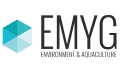 EMYG INNOPURE - Living Seafood Chain