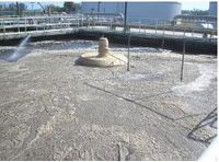 Monera - Model MICROCAT DF - Biocompatible Defoamer for Wastewater Plants