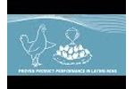 Hendrix Genetics - Proven product performance in laying hens (EN) - Video