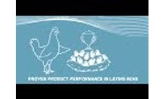 Hendrix Genetics - Proven product performance in laying hens (EN) - Video