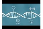 Hendrix Genetics - What is animal breeding - Video