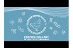 Hendrix Genetics Keeping healthy (EN) - Video