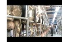 Agromasters - Ηerringbone Rapid Exit Milking Parlour Video