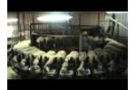 Rotary Milking Parlour Video