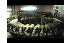 Rotary Milking Parlour Video