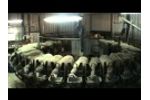 Milking Process (Rotary Parlour) Video