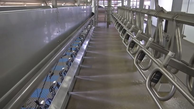 Agromasters - Parallel Milking Parlour