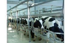 Agromasters - Herringbone Rapid Exit Milking Parlor