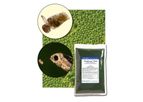 Reed Mariculture - Model RotiGrow Plus - Enriched Microalgal Rotifer Food