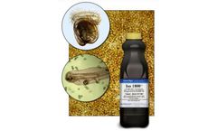 Isochrysis - Model 1800 - Refigerated Isochrysis For Rotifer Enrichment and Greenwater