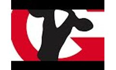 Cow Brush - Video