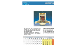 EVDOS - AB-S TYPE - Pressure Relief Valve Brochure