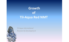 NMT - - Silver Tilapia Brochure