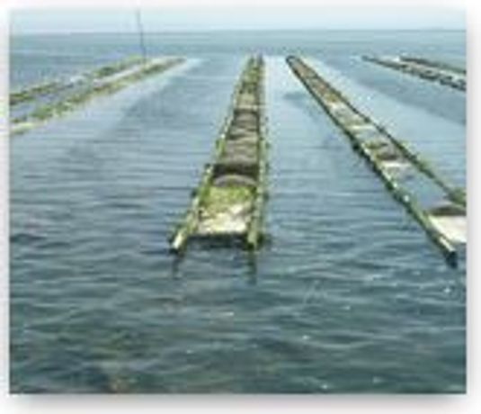 C-EShepherd - Aquaculture Mesh