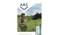 Animal Feed Silos Brochure