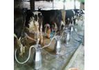 Milking Parlour