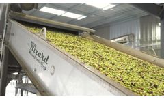 Olive Cleaning Plant by Wizard Mfg - Video