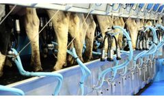 Fullwood QS parallel milking parlour - Video