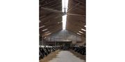 Milking Ventilation - Large Diameter Ceiling Fans
