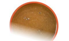 EZ Artemia - Liquid Micro-capsulated Diet