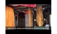 Fully automatic weighing, packing and palletizing line for seed potatoes Video