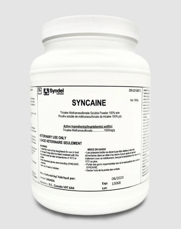 Syncaine - MS-222 - (Tricaine Methanesulfonate)
