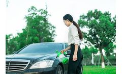 Vehicle Cleaning Services