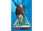Fabdec - Model FOOT-WASH Pro - Automatic Footbath for Cows