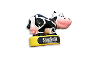 Corkill Systems Ltd (CSL)