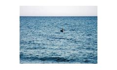 Enviro-USA - Model 52 - Inflatable Oil Containment Boom for Open Sea