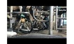 DairyFlo Tube Wrap Video