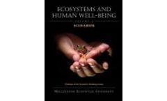 Ecosystems and Human Well-Being: Scenarios - Vol. 2