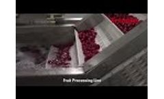 Fruit Processing Line - Triowin Intelligent Machinery Video